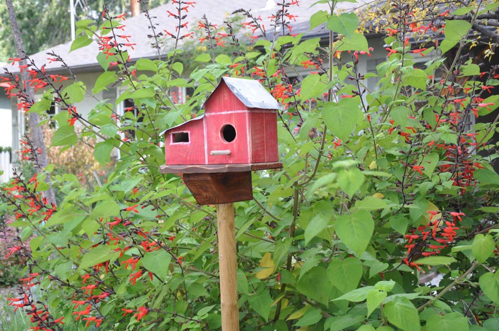 Whimsical Bird House