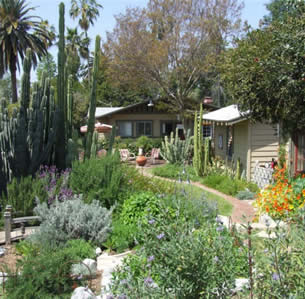 Variety Garden