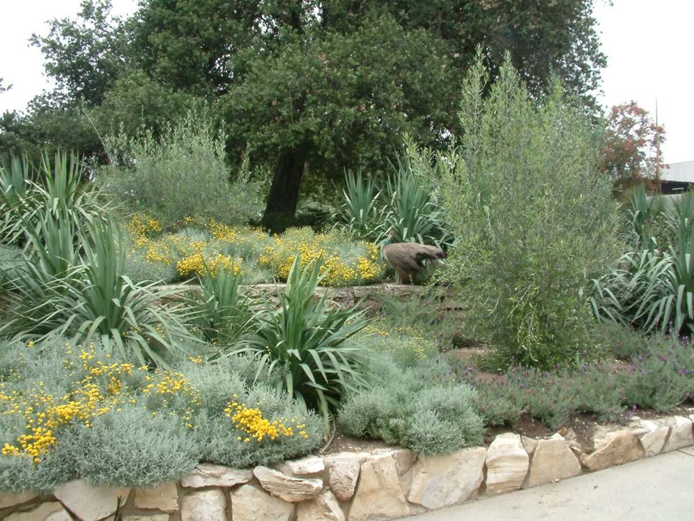 LA Arboretum 8