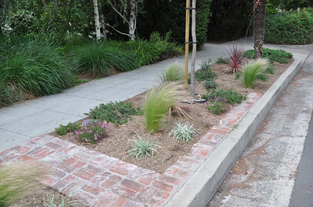 Bricked Parking Strip and Plantings