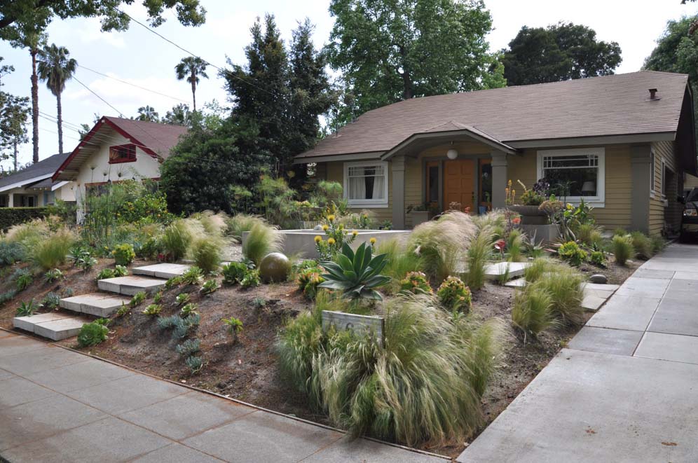 Feather Grass Garden