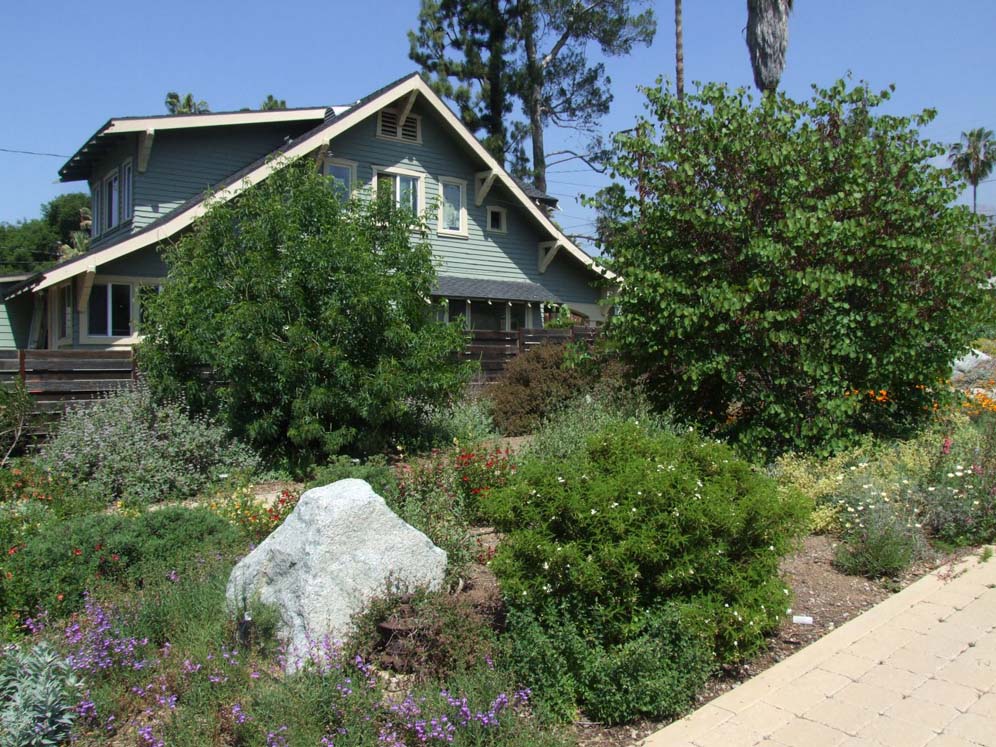 Picturesque Front Garden