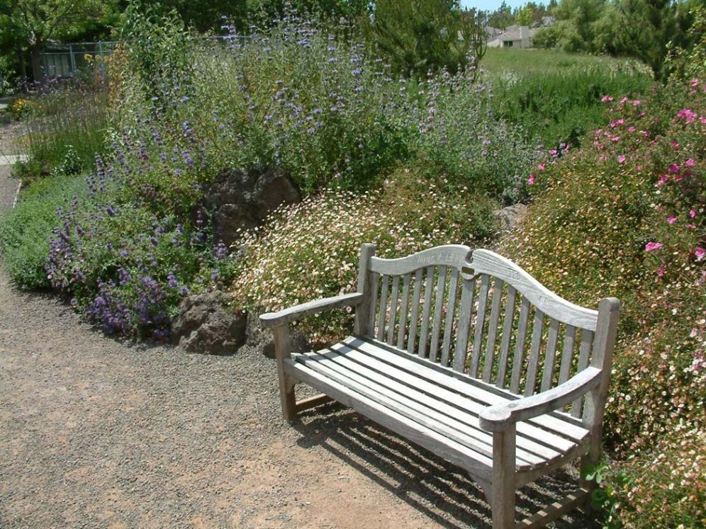 Sunbathing Bench