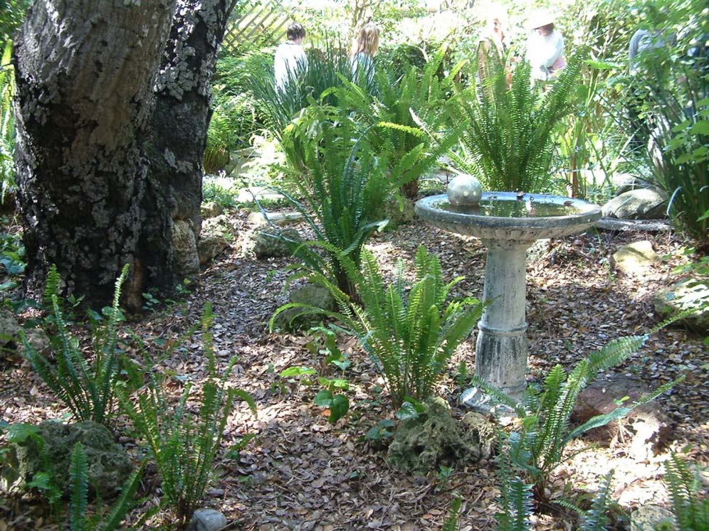 Bird Bath and Sphere