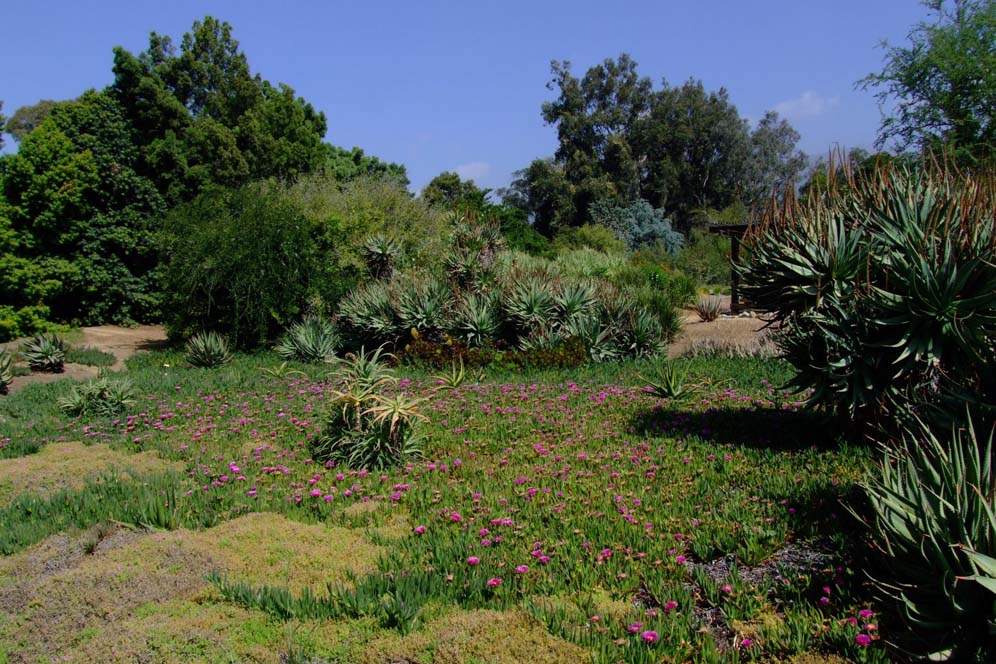 LA Arboretum 3