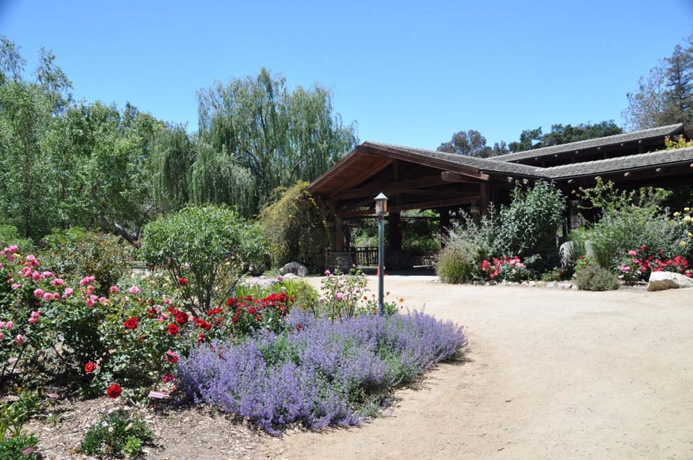 Descanso Gardens 8